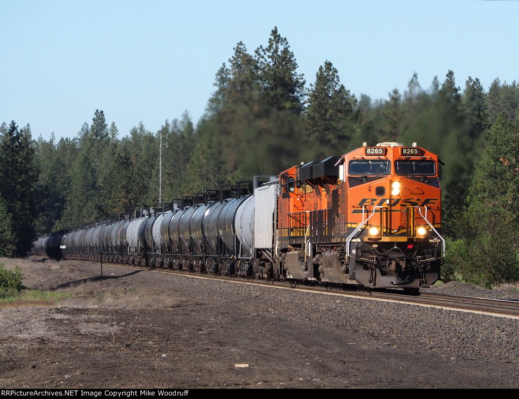 BNSF 8265